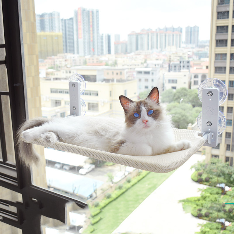 Cat Suction Cup Window