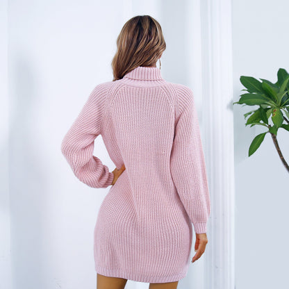 Turtleneck Long Sleeve Sweater Dress With Button Design Leisure Clinch