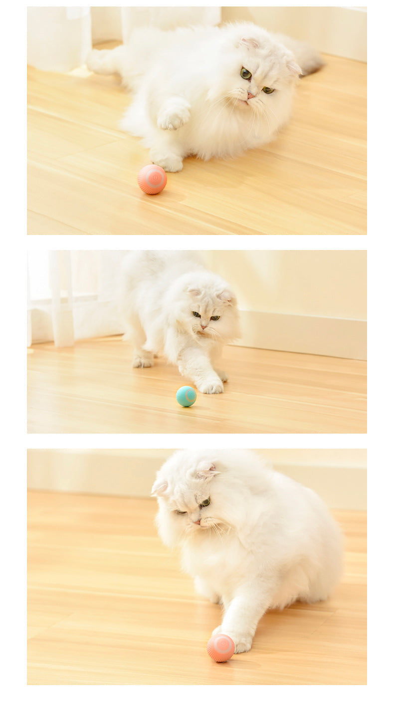 Cat Gravity Rolling Ball