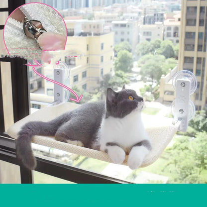 Cat Suction Cup Window